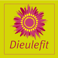 logo Dieulefit.gif