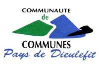 Logo CCPD.jpg