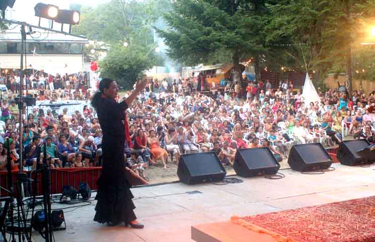 Flamenco Sur